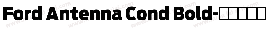 Ford Antenna Cond Bold字体转换